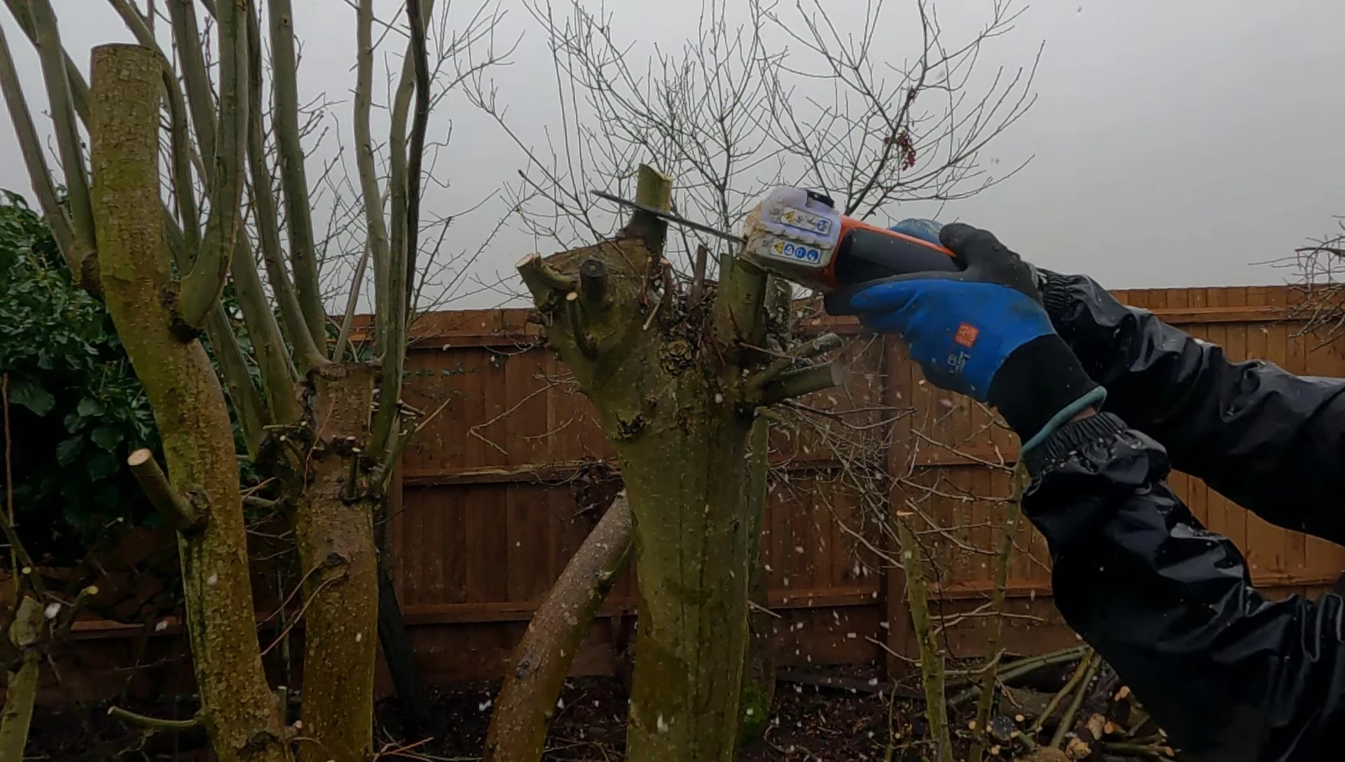 The pruner in action, cutting various types of branches.