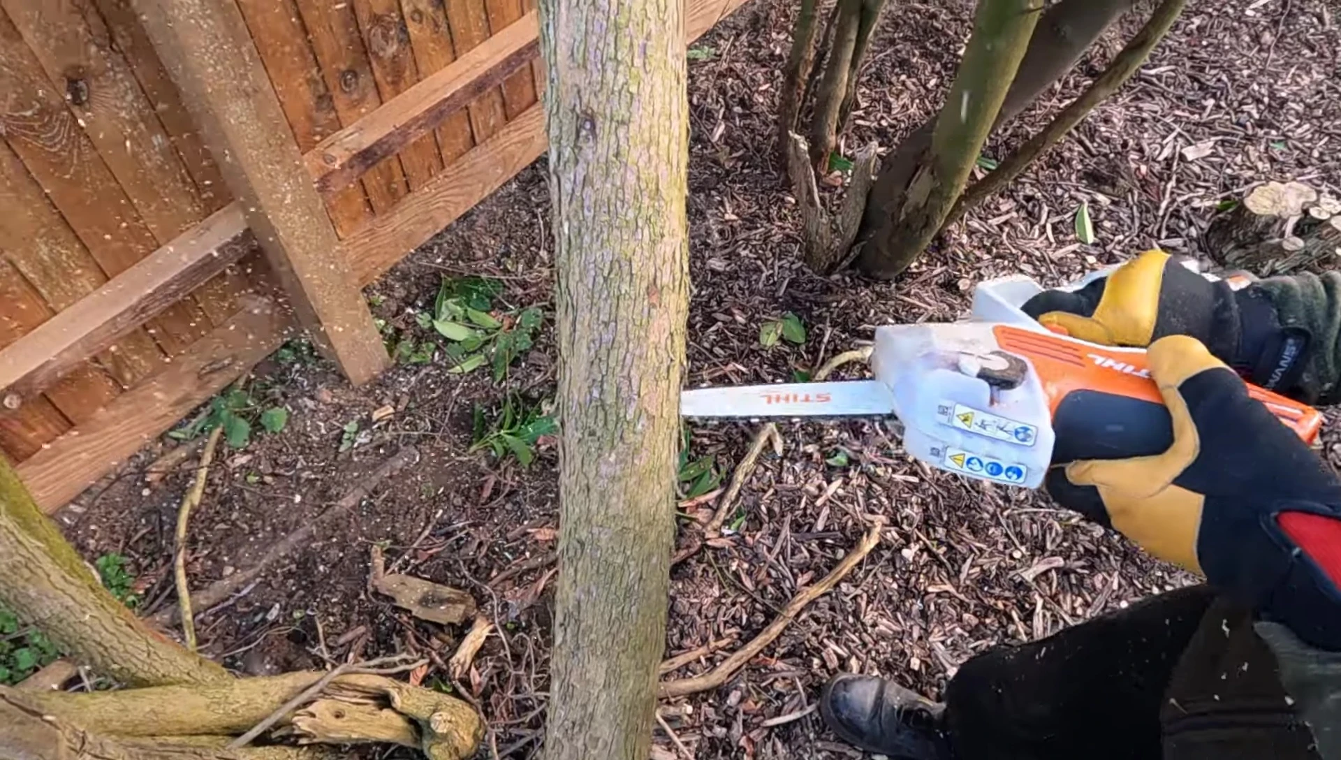 Demonstrating the ease of maneuvering the pruner in tight spaces within shrubs.