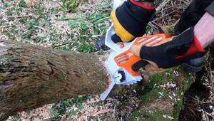 Stihl GTA 40 Battery Pruner Review: Powerful, Compact, and Reliable