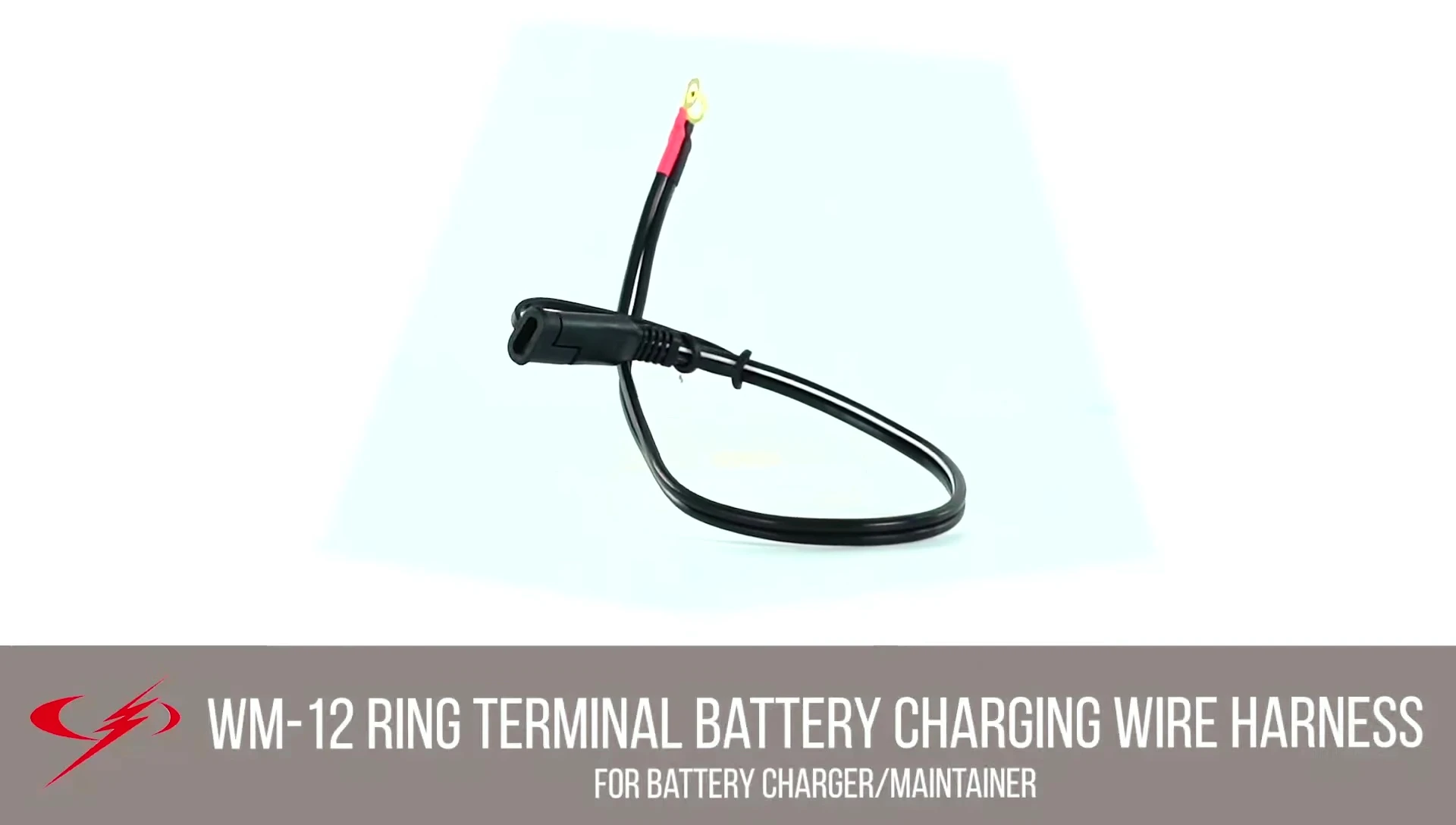 Schumacher WM12 ring connector cable