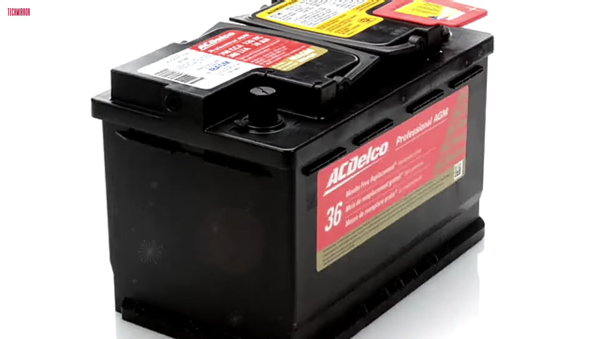 Close-up of AC Delco Gold 48 AGM battery features