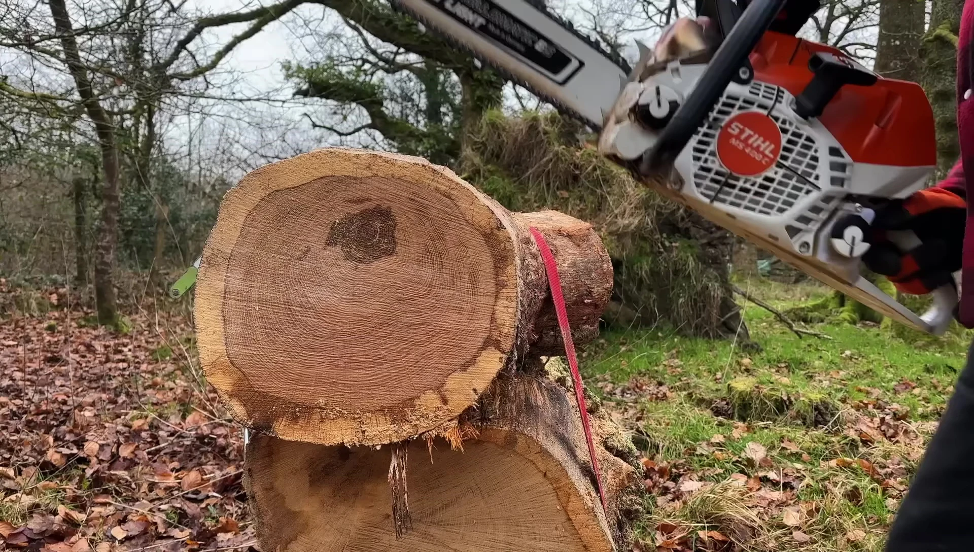 Stihl Chainsaw cutting test