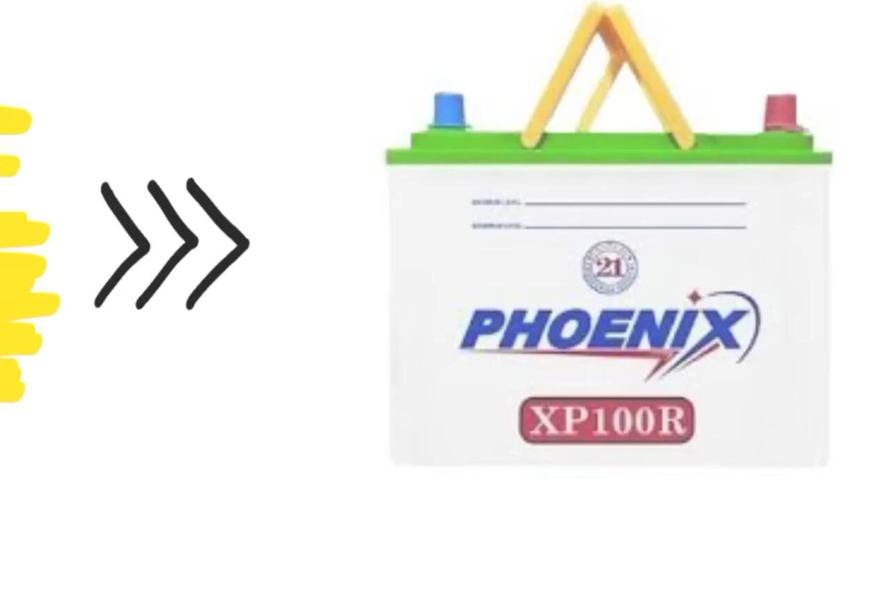 Screenshot displaying the AGS Washing Series WS 135 battery