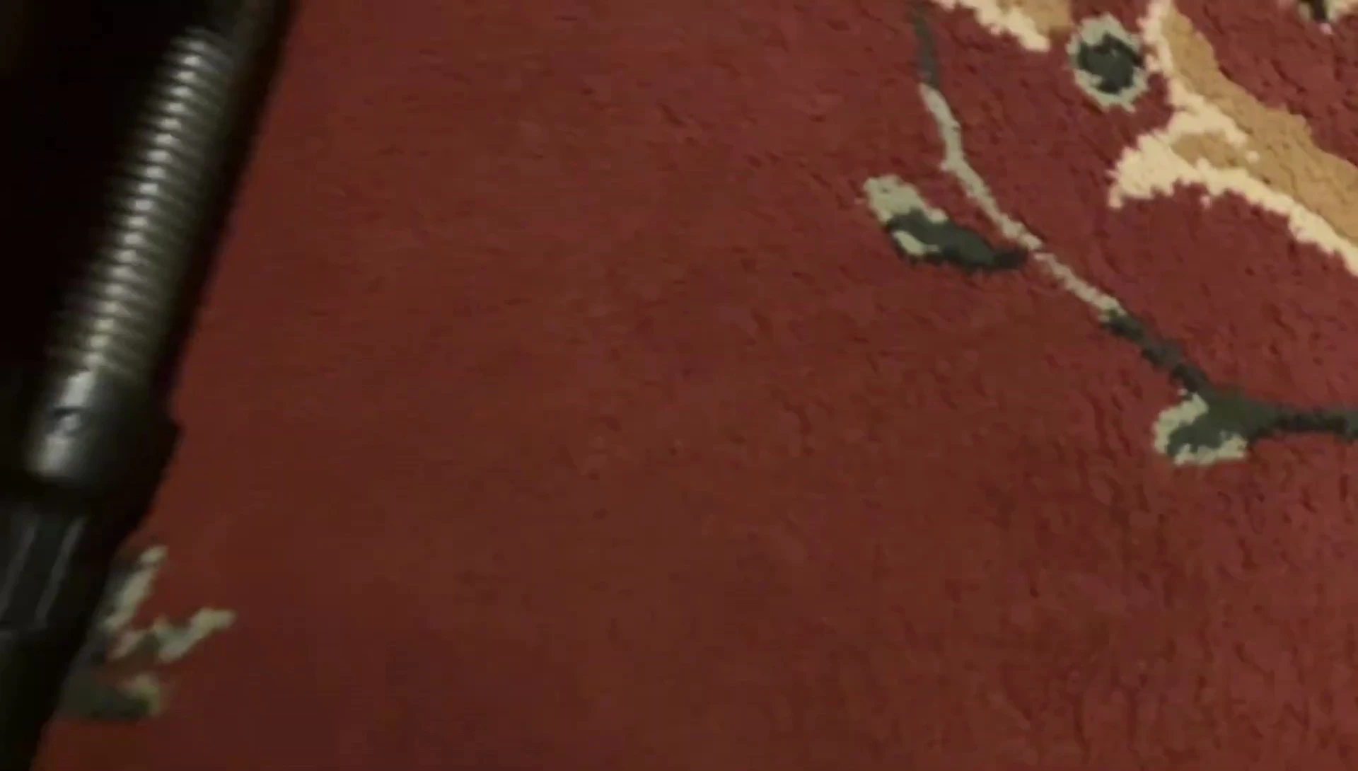 The bottom of the vacuum, showing the brush roll and wheels