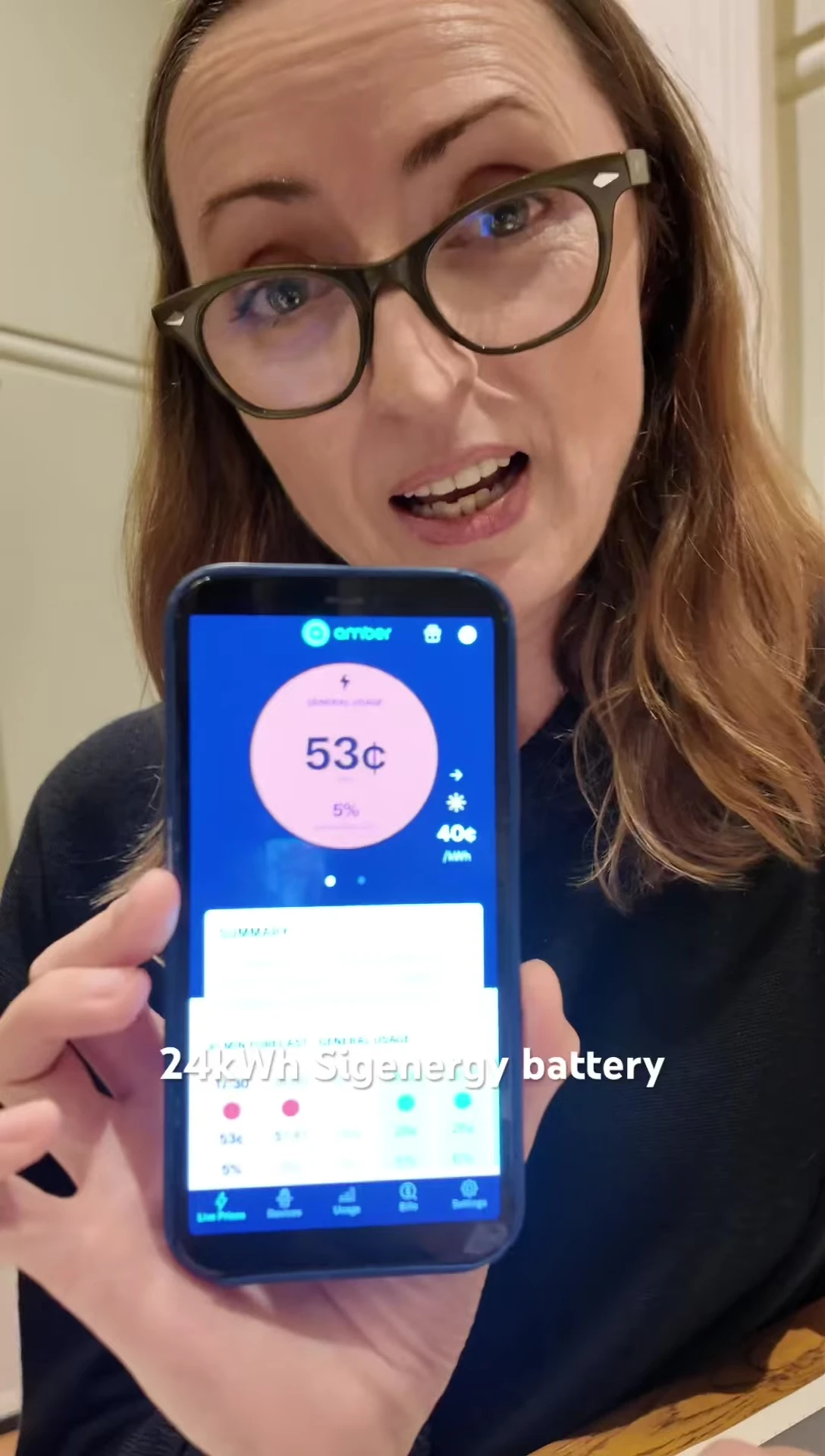 Screenshot demonstrating high energy prices during peak hours and low renewable energy generation.