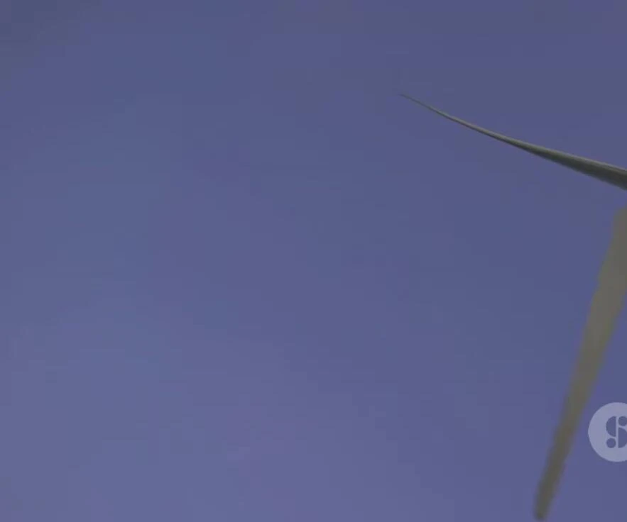 Close-up of an Aeroleaf turbine.