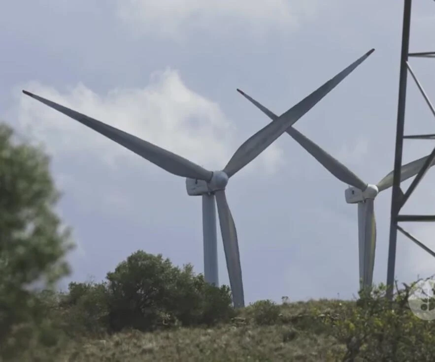 Montage of Aeroleaf turbines in different locations.