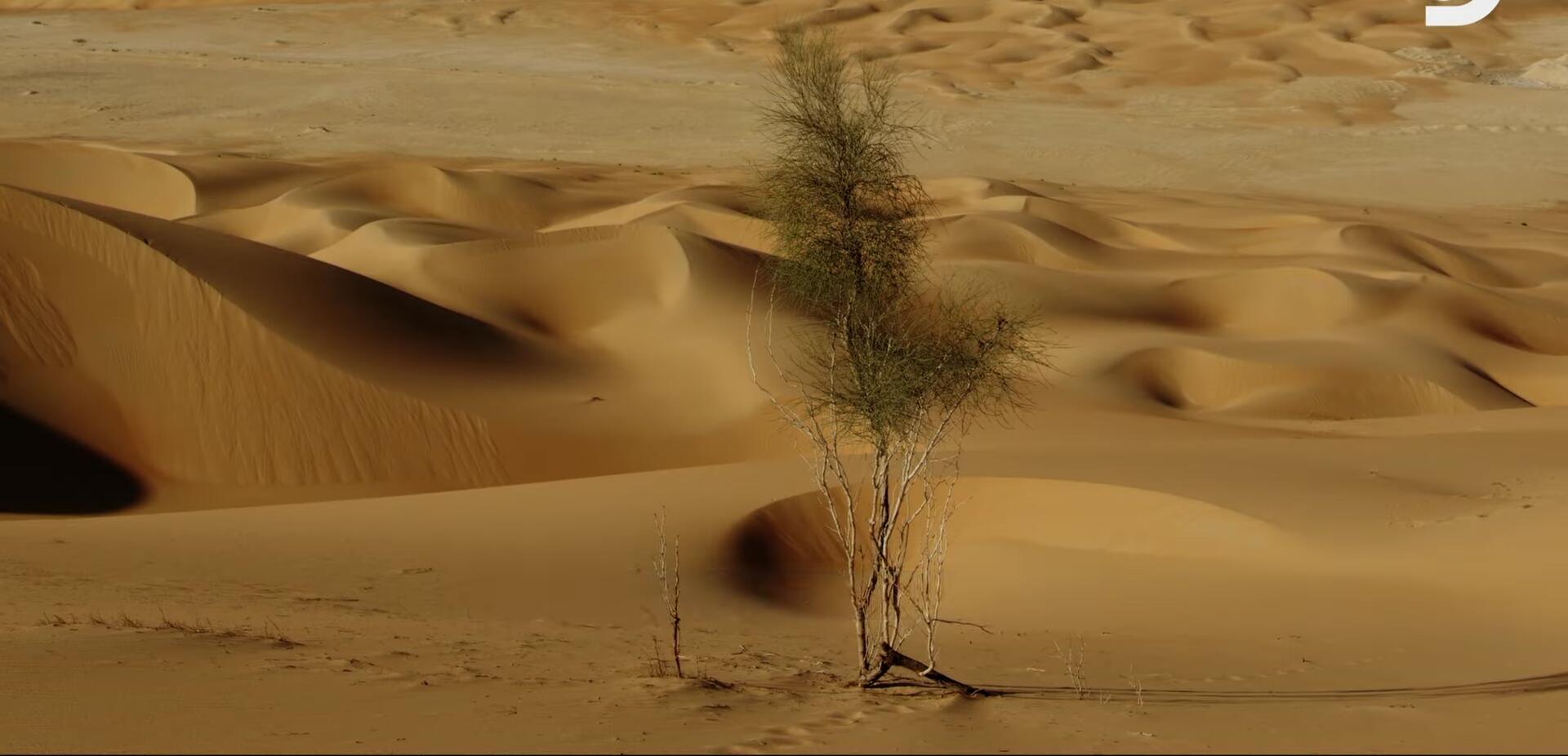 The long and arduous journey through the desert