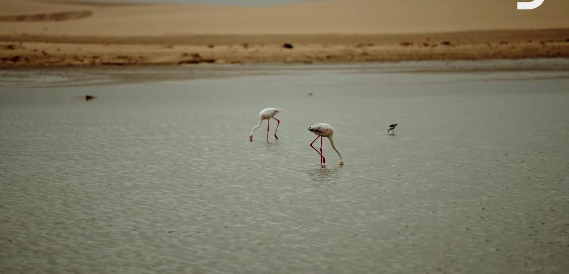 The oasis offering relief and renewal