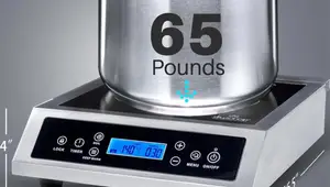 Top 7 Best Portable Induction Cooktops 2024: Reviews & Comparison