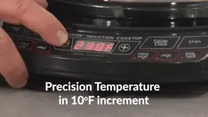 5 Best Portable Induction Cooktops 2024: A Detailed Review