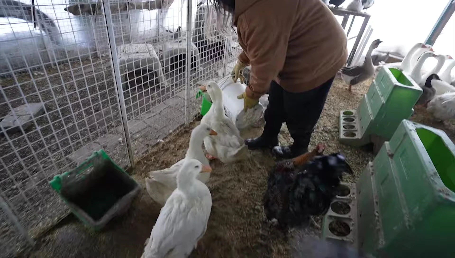 Mark and Tara interacting with the animals