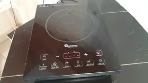 Ramtons Induction Cooker Review: Speed, Efficiency, and Downsides