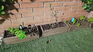 Home Automation Review: Zigbee Rain Sensor, Aqara W100 Thermostat, and Soil Moisture Sensor