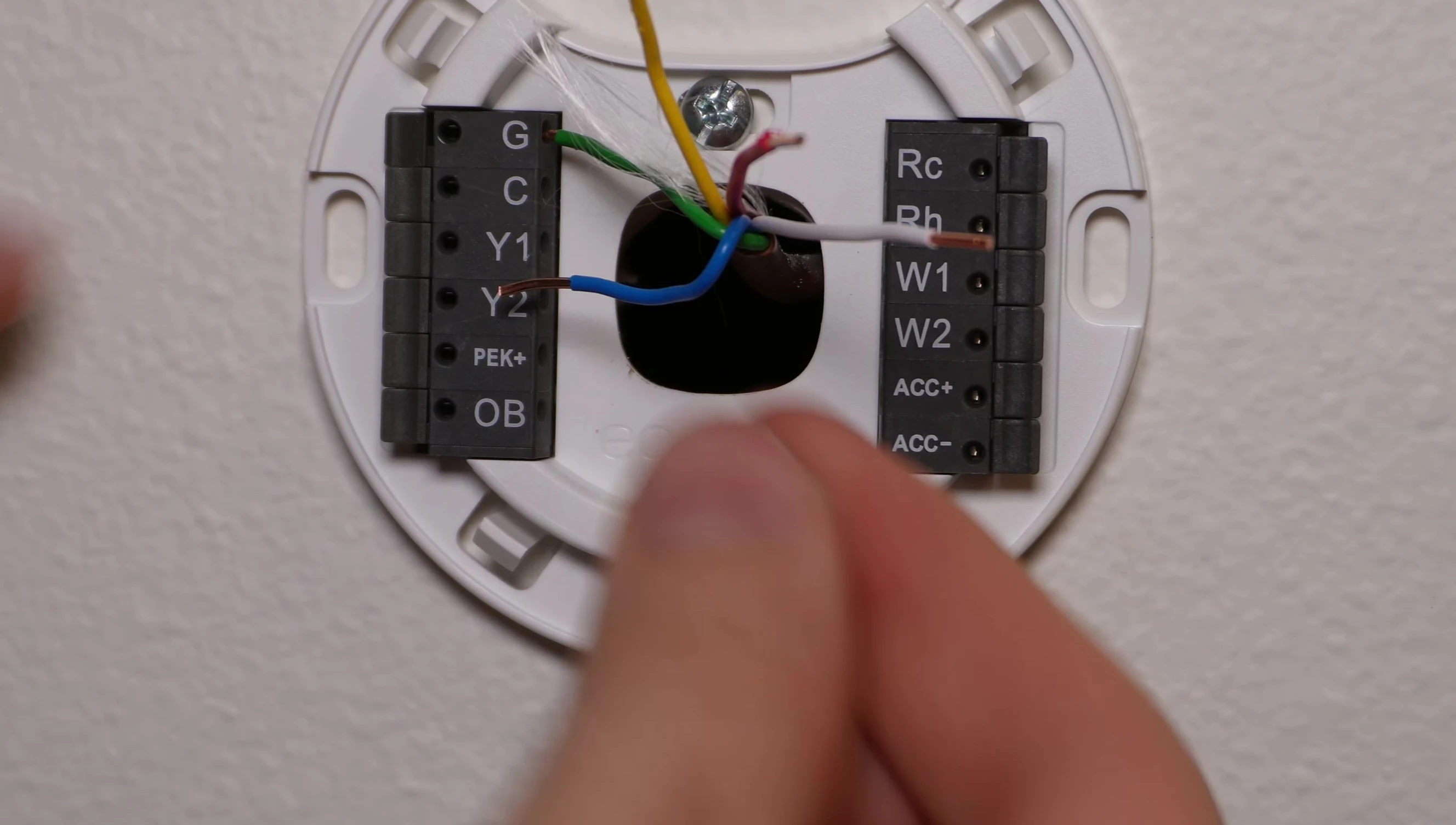 Connecting the wires to the Ecobee thermostat