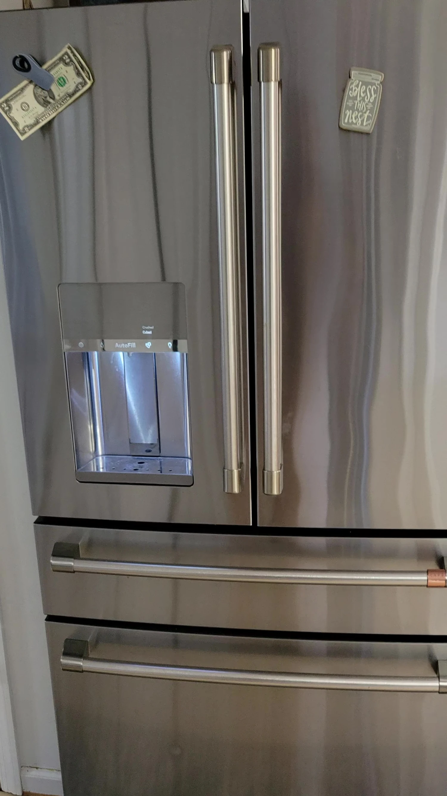 Overall shot of the refrigerator.