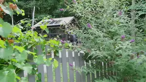 Off-Grid Solar Power System: A Complete Guide to Installation