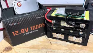 Truvalux 12.8V 100Ah LiFePO4 Battery Review: Budget-Friendly Powerhouse?