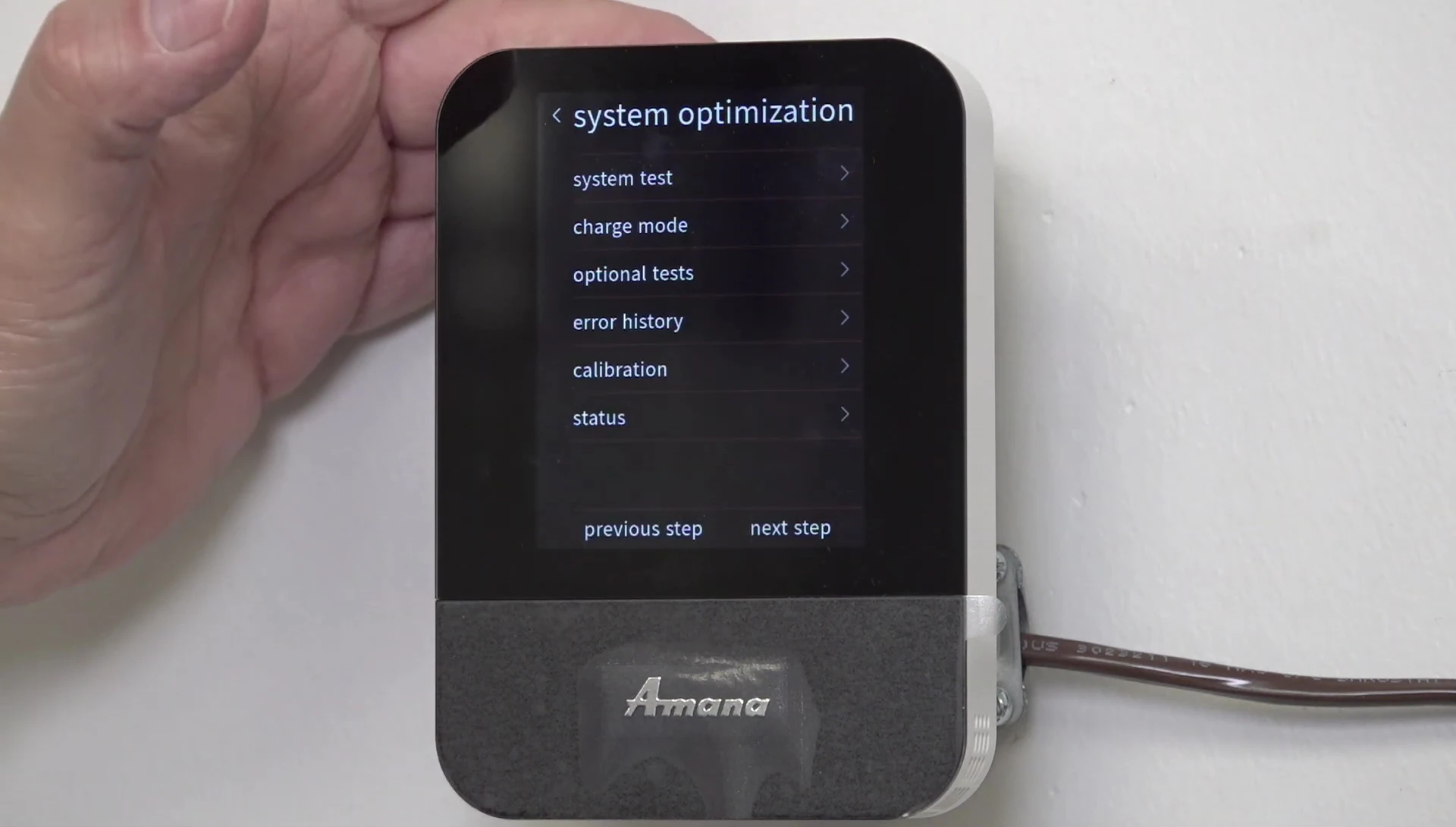 Screenshot of the System Test option