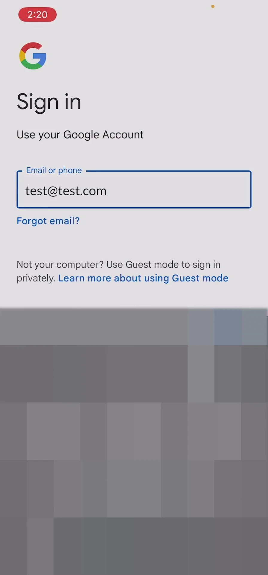 Screenshot showing the authentication screen where you input your email address and password.
