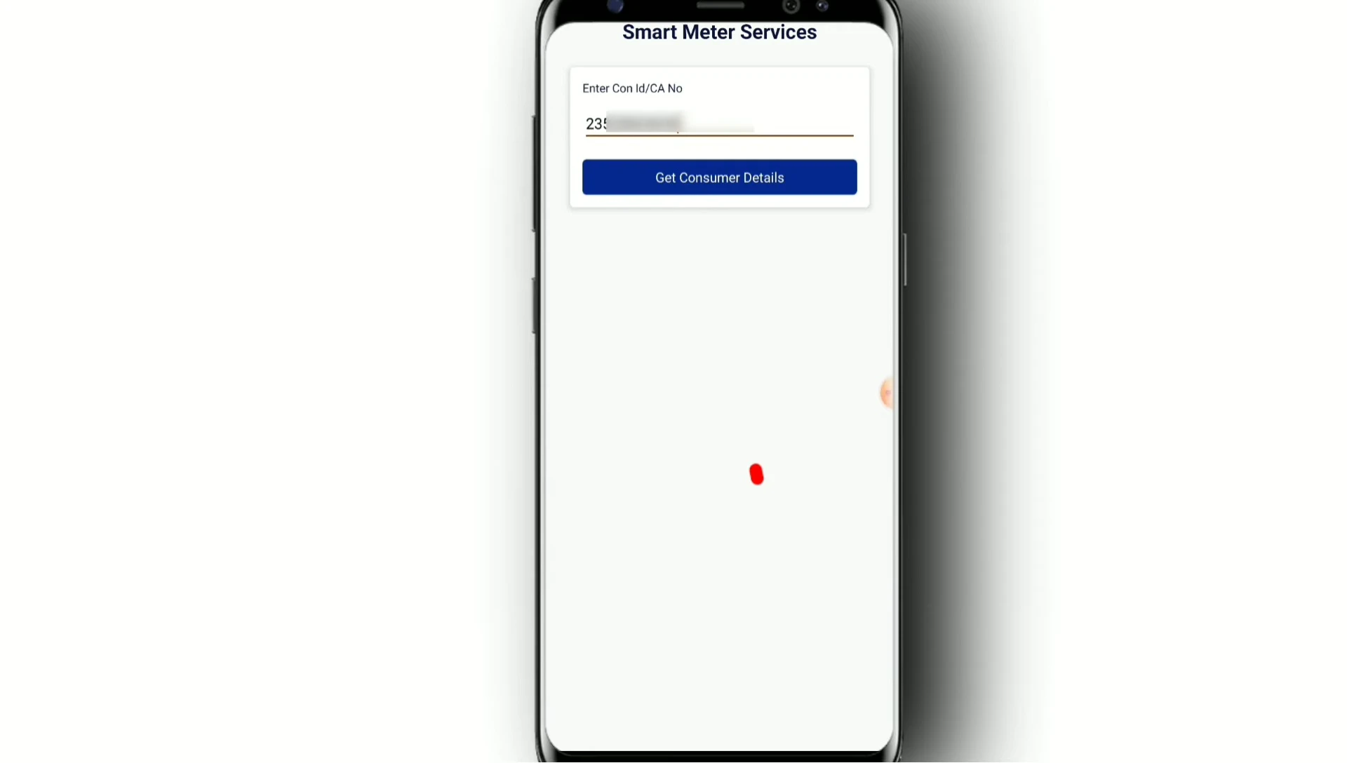 Screenshot highlighting the 'Get Consumer Details' button