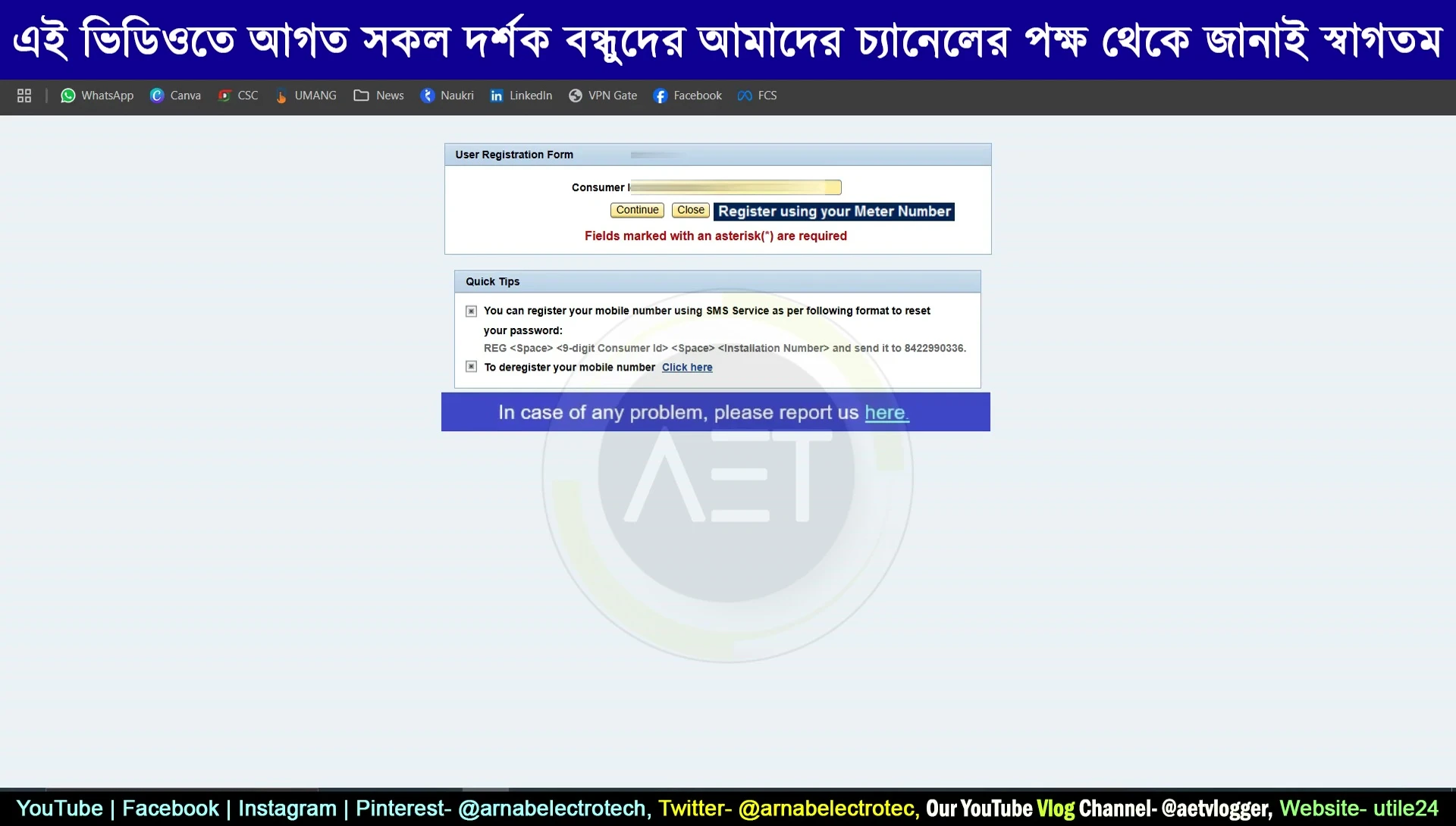Screenshot showing the input fields for consumer and installation numbers.
