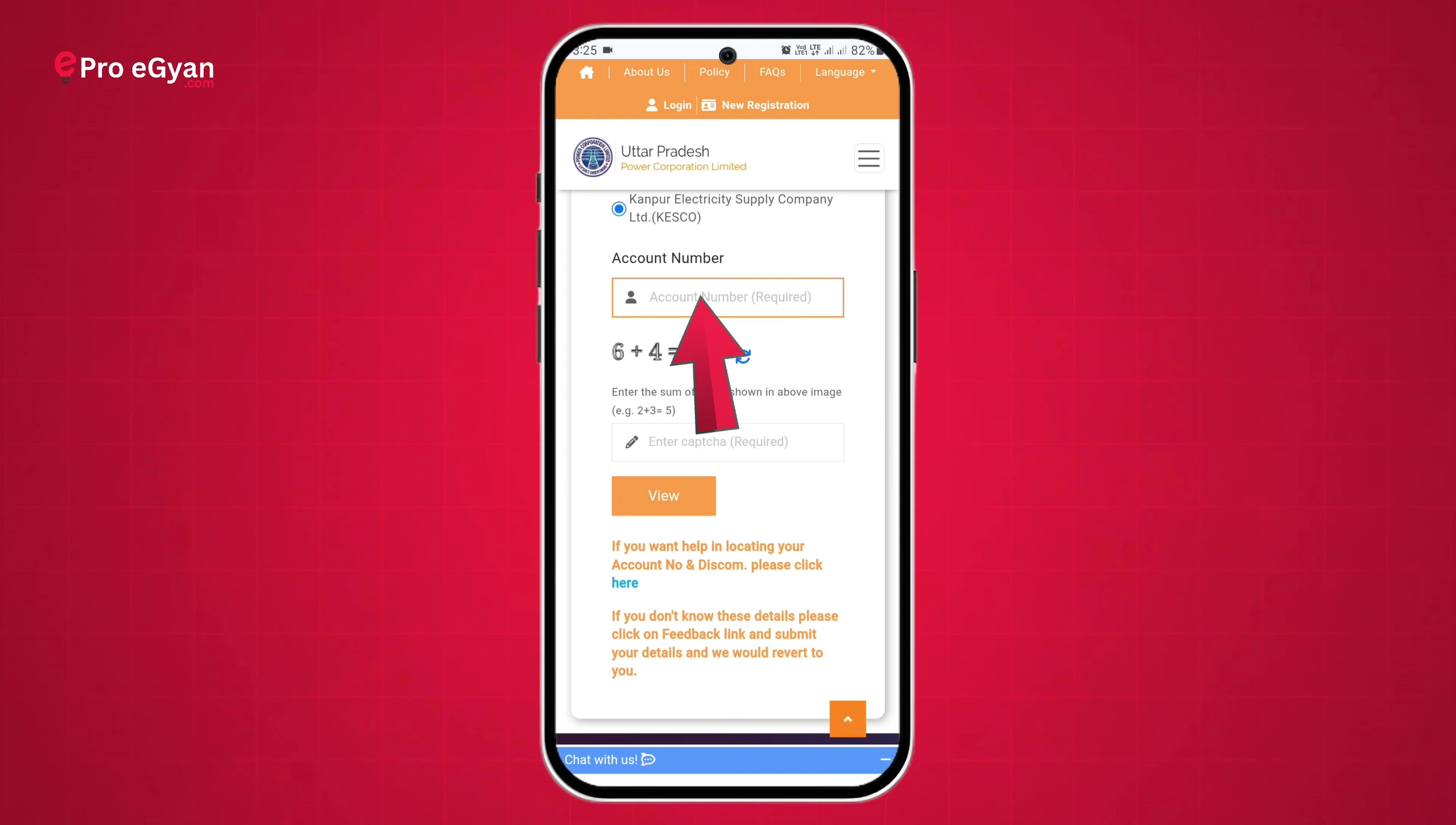 Screenshot showing the input fields for consumer ID/account number and CAPTCHA
