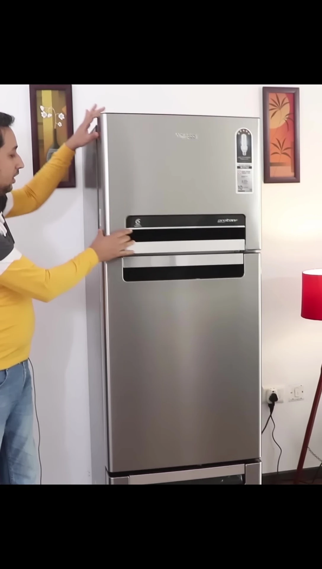An image highlighting the separate freezer, fridge, and vegetable sections