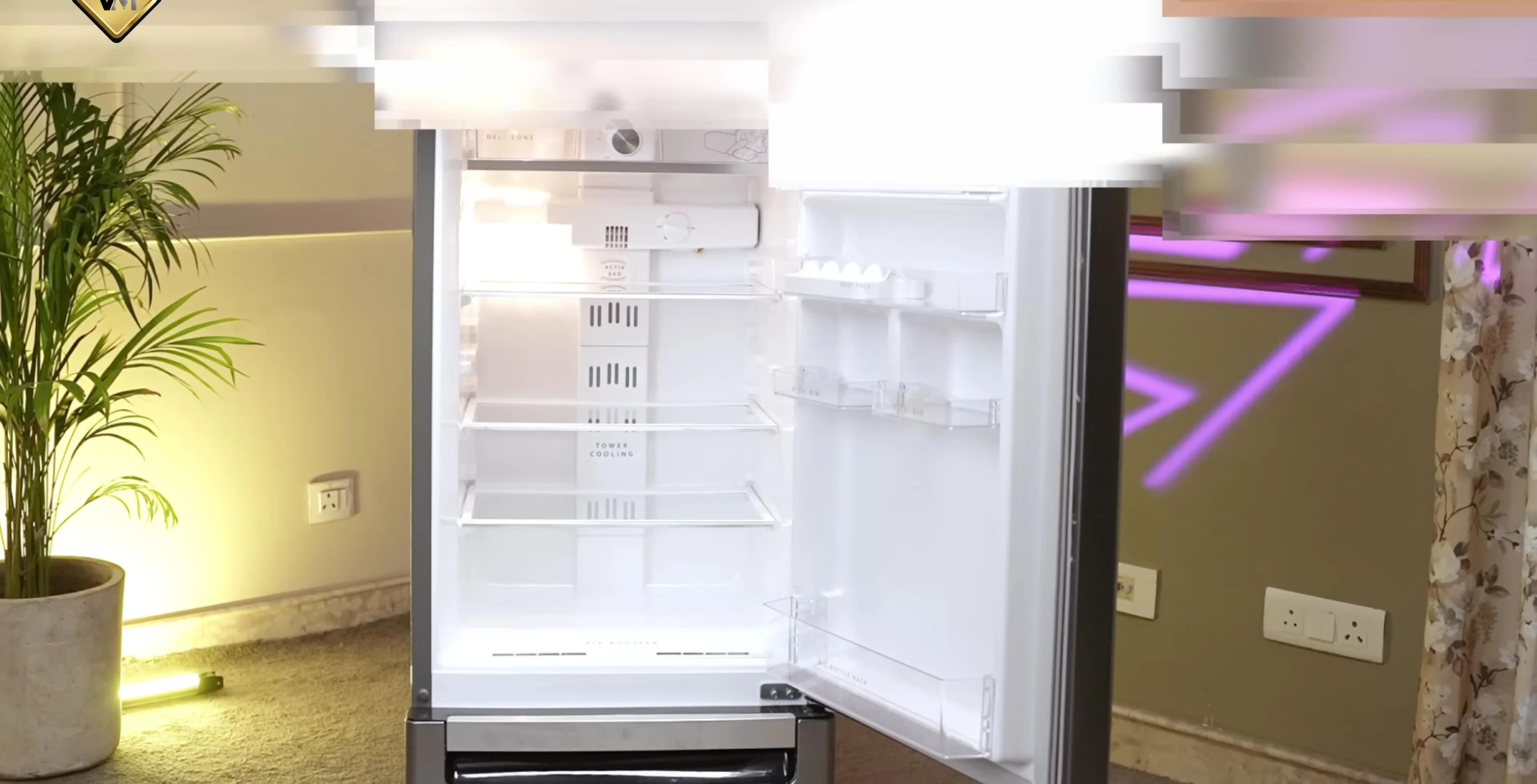 Shot showing the layout and spaciousness of the fridge compartment