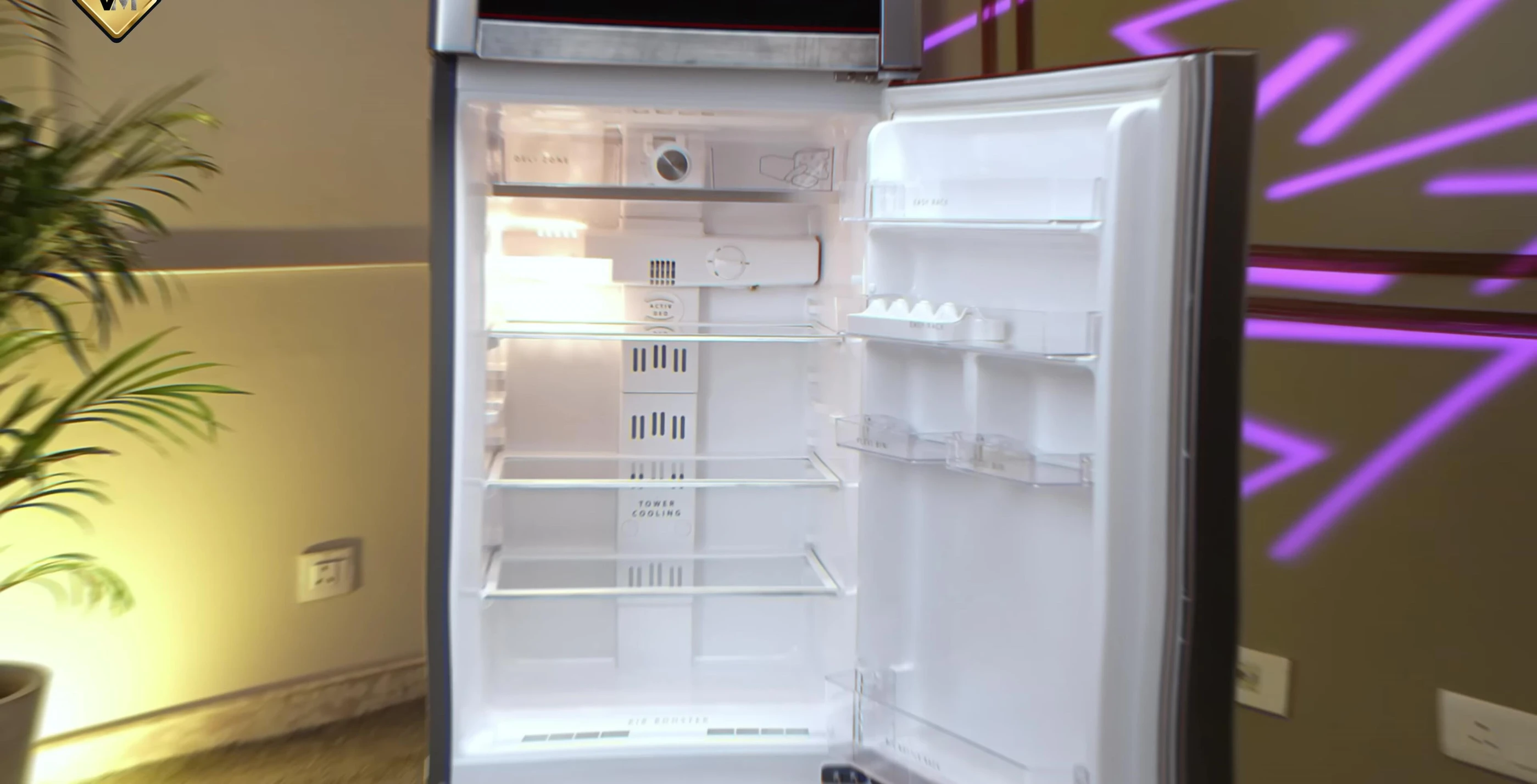 Interior shot of the freezer