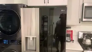 LG InstaView™ Side-by-Side Refrigerator Review:  Spacious, Stylish, But With a Catch
