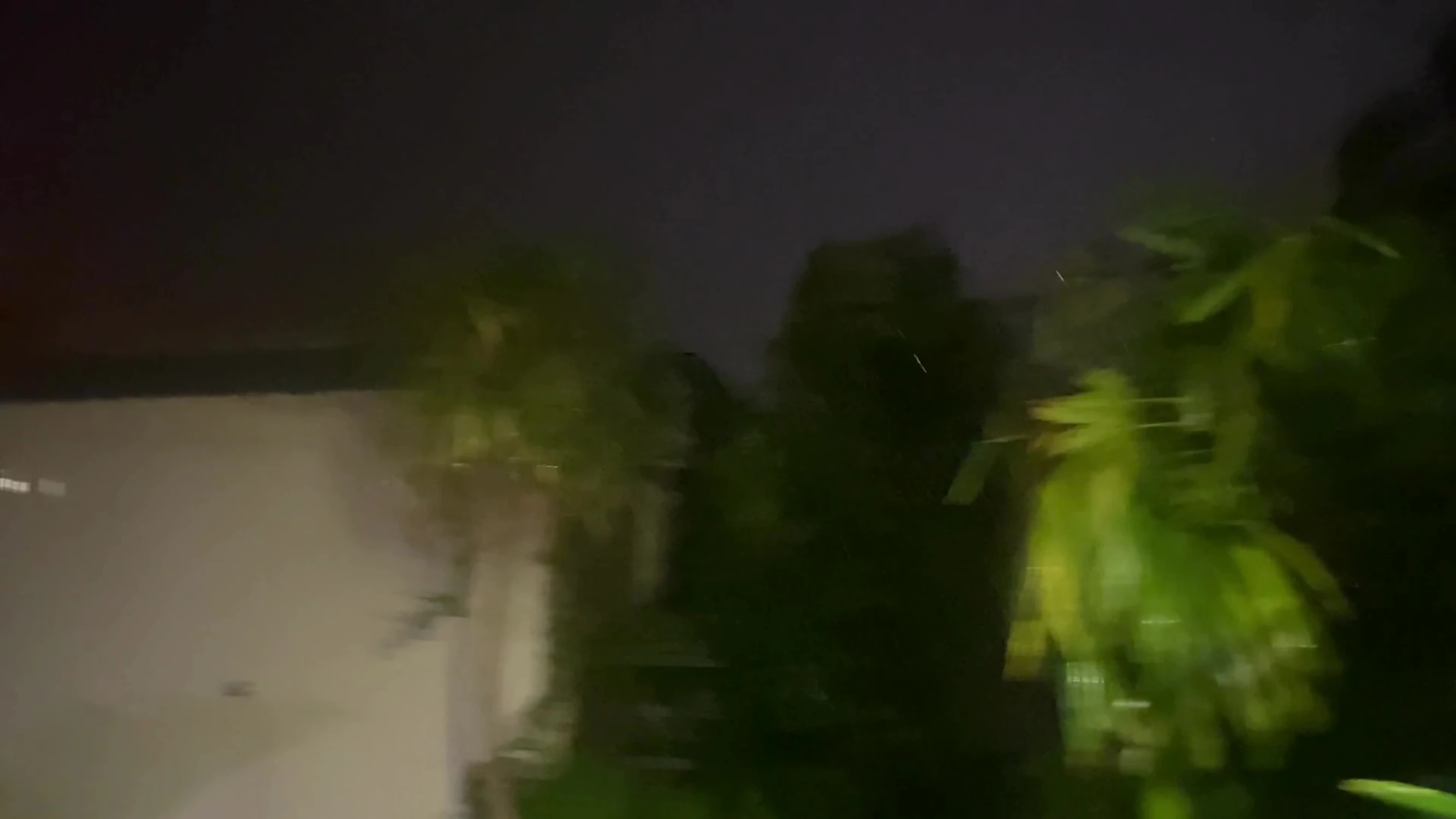Trees swaying violently in the front yard.